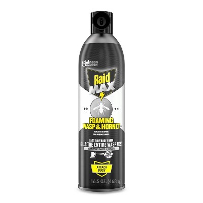 Raid Max Foaming Wasp and Hornet Bug Spray - 16.5oz