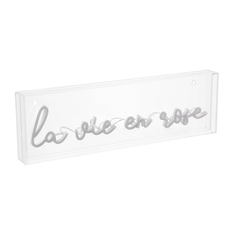 20&#34; x 6&#34; La Vie En Rose Contemporary Glam Acrylic Box USB Operated LED Neon Light Pink - JONATHAN Y, 1 of 7