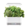 AeroGarden Harvest XL Bundle Hydroponic Indoor Herb Garden LED Grow Light Growing Kit with Trellis, 18 Seed Pods, Bonus Seed Kits, & Plant Food, White - 3 of 4