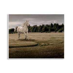 Stupell Industries Galloping Through Field Horse Wall Plaque Art - 1 of 4
