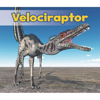 Velociraptor - (All about Dinosaurs) by  Daniel Nunn (Paperback)