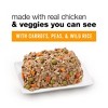 Purina Beneful Prepared Meals Chopped Blends Wet Dog Food - 10oz - 3 of 4