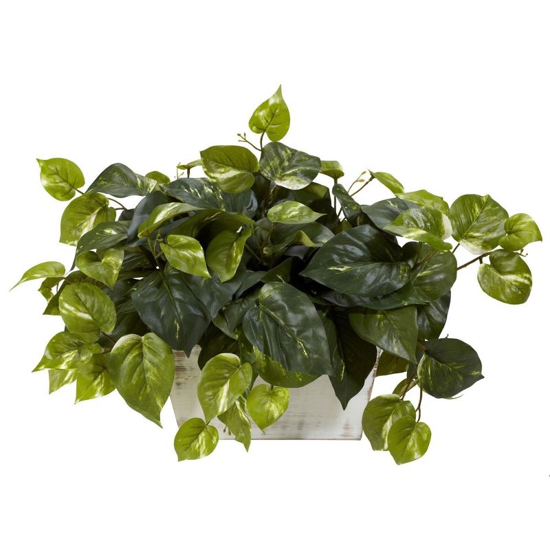 Nearly Natural 14-in Pothos w/White Wash Planter Silk Plant, 1 of 3
