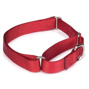 Guardian Gear Nylon Martingale Dog Collar, Fits Necks 14 - 1 of 3