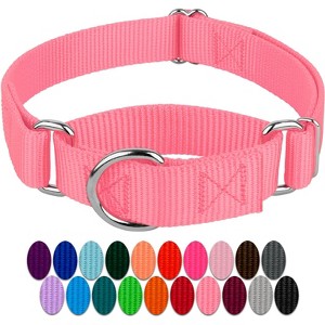 Country Brook Design Martingale Heavyduty Nylon Dog Collar - 1 of 4