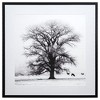 Yosemite Home Decor Winter?s Morning Fog IV - 4 of 4