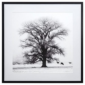 Yosemite Home Decor Winter?s Morning Fog IV - 1 of 4