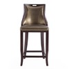 Set of 2 Emperor Upholstered Beech Wood Faux Leather Barstools - Manhattan Comfort - image 3 of 4