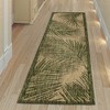 Liora Manne Carmel  Indoor/Outdoor Rug  Green.. - 3 of 4