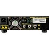 DV Mark Raw Dawg EG 250W Guitar Amp Head Black - 3 of 4