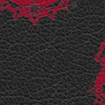 georgia bulldogs uga