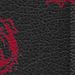 georgia bulldogs uga