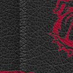 georgia bulldogs uga