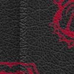 georgia bulldogs uga