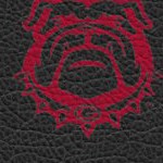georgia bulldogs uga