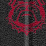 georgia bulldogs uga