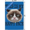 Trends International Grumpy Cat - Face Unframed Wall Poster Prints - 3 of 4