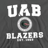 University of Alabama at Birmingham Official Circle Logo Adult Pull-Over Hoodie - 2 of 4