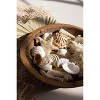 Beach-Inspired Coastal Filler – 9.45" Tall Natural Decor Set of 6 by Kalalou - 2 of 3