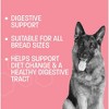 Pet Health Pros Advanced Probiotics for Dogs - Probiotic Soft Chew for Upset Stomach - Promotes Happy Gut, Happy Dog - 60 ct - 3 of 4