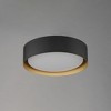 ET2 Lighting Echo 1 - Light Flush Mount in  Black/Gold - 2 of 4
