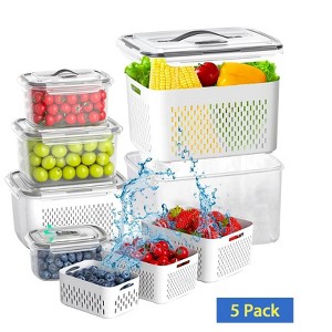 LunaLulinlk 10 PCS Fruit Storage Containers for Fridge, 5 Size Food Containers for Refrigerator Organizers Bins with Colander Set,16L - 1 of 4