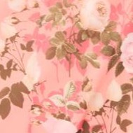 desert coral shadow rose