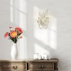 Golden Lighting Lillianne 2 Light Wall Sconce - 4 of 4