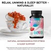 LIVS Gummies Relax Plus (Ashwagandha) - 2 of 4