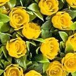 yellow - 2pcs