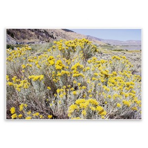 Stupell Industries Yellow Flowers in Arid Meadow Wall Plaque Art - 1 of 4