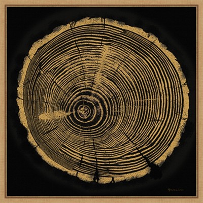Tree Trunk I Abstract Golden Rings Canvas Wall Art in Maple Frame