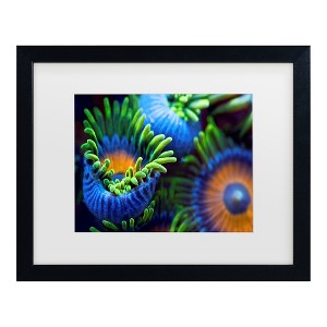 Trademark Fine Art - Santiago Pascual Buye The Colors Of The Reef Ii Matted Framed Art - 1 of 4