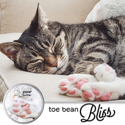 The Blissful Cat Paw Butter