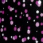 pink water droplet