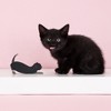 TrueZoo Allie the Black Cat Double Hinged Corkscrew, Novelty Wine Key, Waiter’s Corkscrew Bottle Opener, Halloween Gifts, 4.25x2.5x1 - 3 of 4