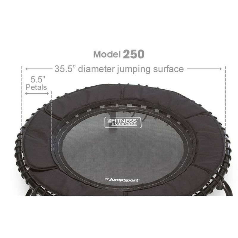 JumpSport 250 Indoor Mini Cushioned Rebounder Trampoline for Home Cardio and Fitmess with Premium Bungees and Workout DVD - Black, 2 of 7