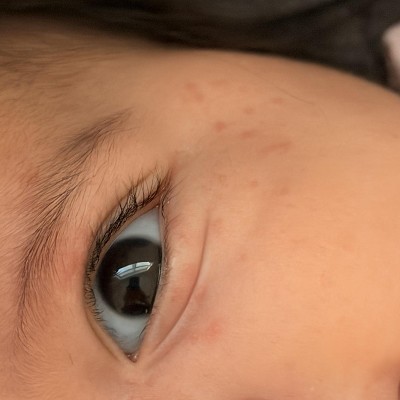 Guest review image 1 of 1, zoom in