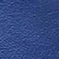 blue/silver