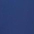 blue/silver