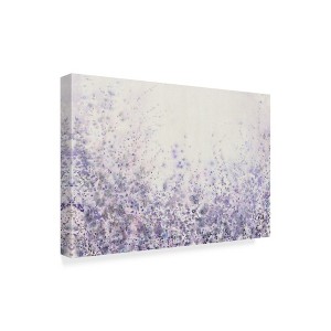 Trademark Fine Art -Tim Otoole 'Soft Focus Ii' Canvas Art - 1 of 4