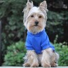 Doggie Design Flex-Fit Hoodie-Blue - 4 of 4