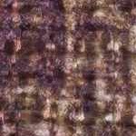 rust, mustard, orange, off white, red