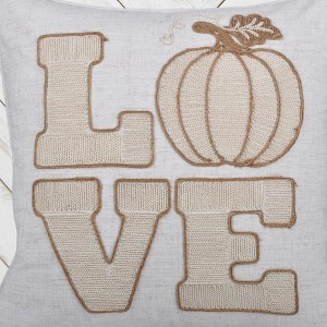 TopComfy Support Pillow LOVE Pumpkin Embroidered Throw Pillow for Rustic Fall Decor, White, 17"*17"*10" - 1 of 4