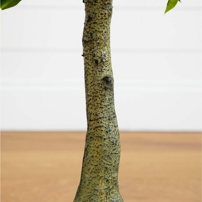 3-Foot Green Plastic Bay Leaf Topiary in Black Pot