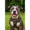 Parisian Pet 'Freedom Harness Camo' for Dogs & Cats – Customizable, Comfortable Camo Dog Harness - 3 of 4