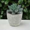 Unique Bargains Artificial Plants Mini Pulp with Graptopetalum Plastic Green 2.76"x2.76"x3.15" 1 Pc - 2 of 4