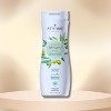 Attitude Super Leaves Shower Gel Nourishing Olive Leaves - 16 oz - Wash Away the Day, Naturally - 3 of 3