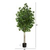 Nearly Natural 64-in Ficus Artificial Tree UV Resistant (Indoor/Outdoor) - 2 of 4