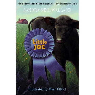 Little Joe - by  Sandra Neil Wallace (Paperback)